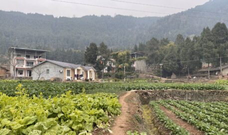 Liu Valley and Shehong