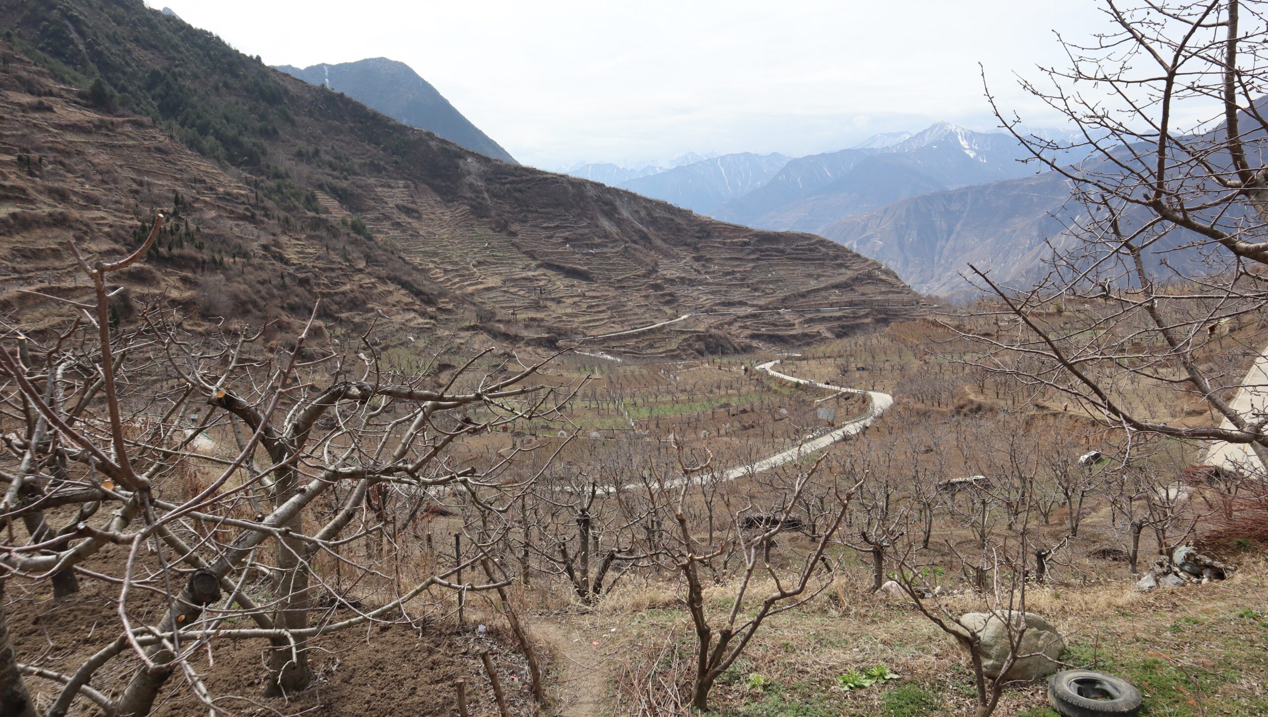 Luobozhai Village: Wenchuan countryside, Qiang mountains